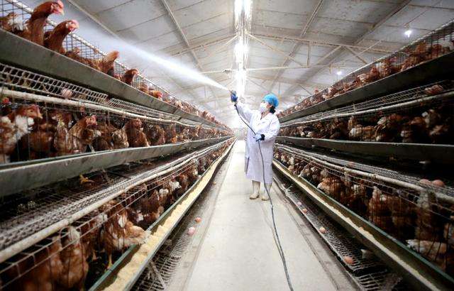 �������a���g