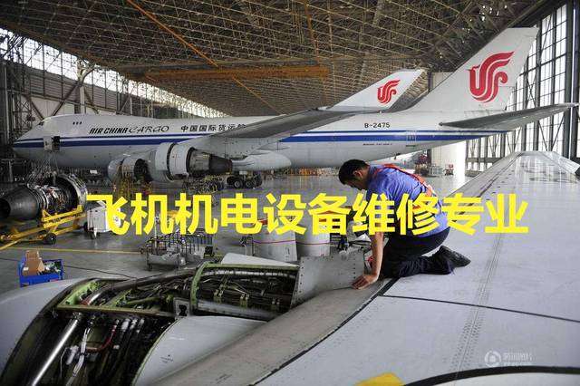 �w�C�O��S�ތ��I