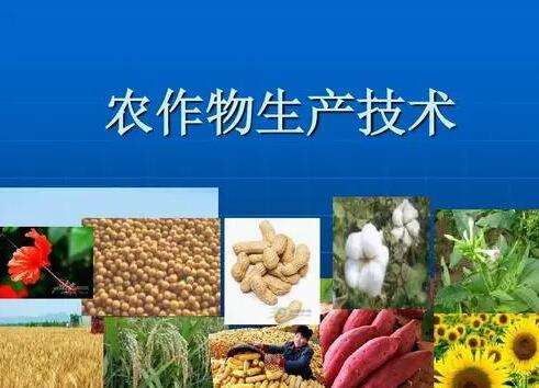 �������a���g���I(y��)