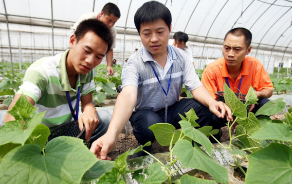 �r�Y�I�N�c���Ռ��I