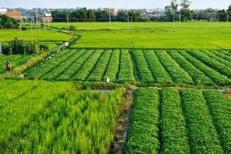 �������a(ch��n)���g(sh��)��(zhu��n)�I(y��)