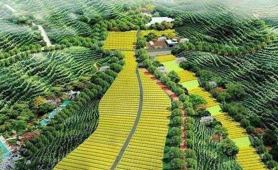 ���e�r�I���a�c���I