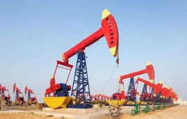 �͚��_�Ɍ��I