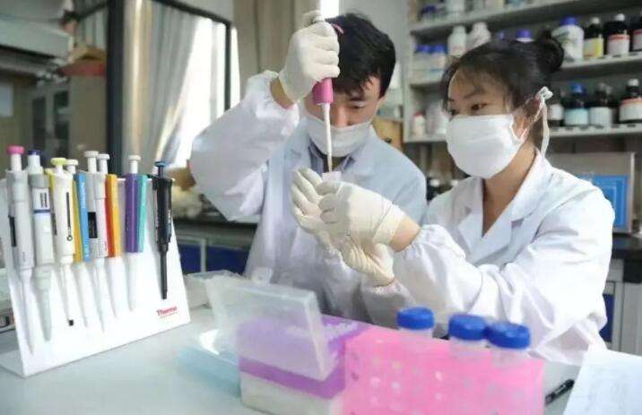 ˎ���Ƅ����t�W����W�ࡿ