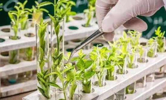 �������a���g