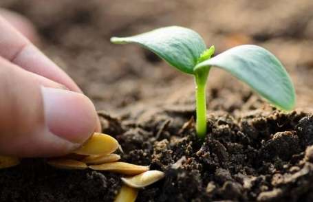 �������a���g