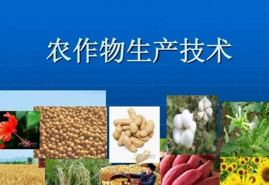 �������a���g