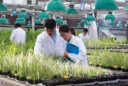 �������a���g���I