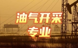 �͚��_�Ɍ��I