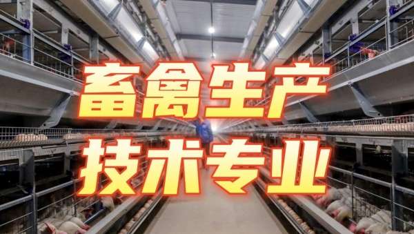 �������a���g���I