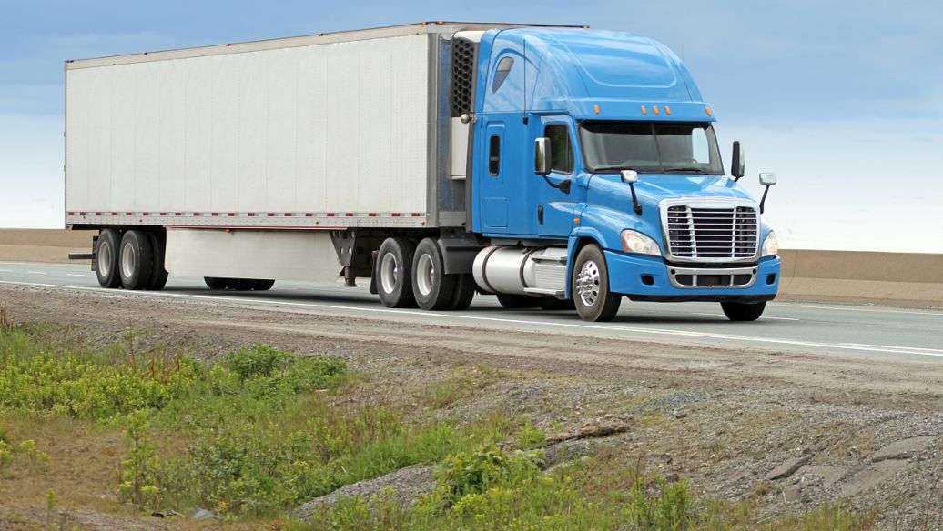 ���������c����