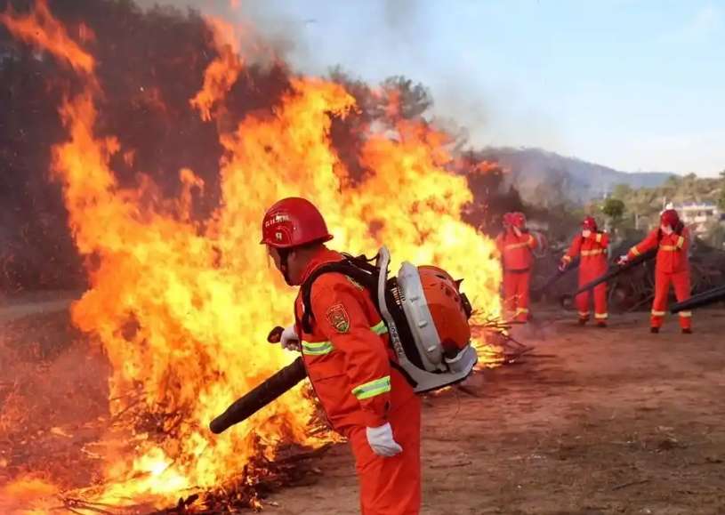 ɭ���������I(y��)