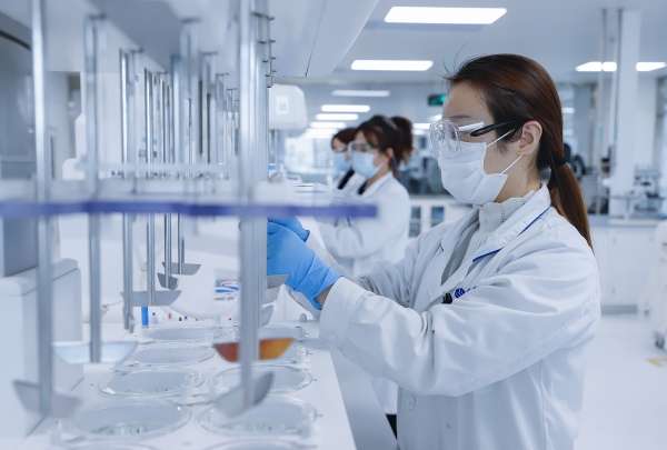 ˎ���Ƅ����t�W����W�ࡿ