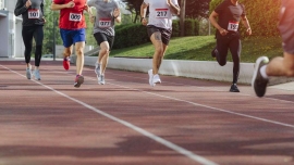 ���e�w������(w��)�c����