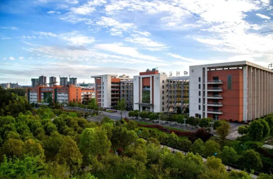 �Ĵ�����WԺ2022�������³�