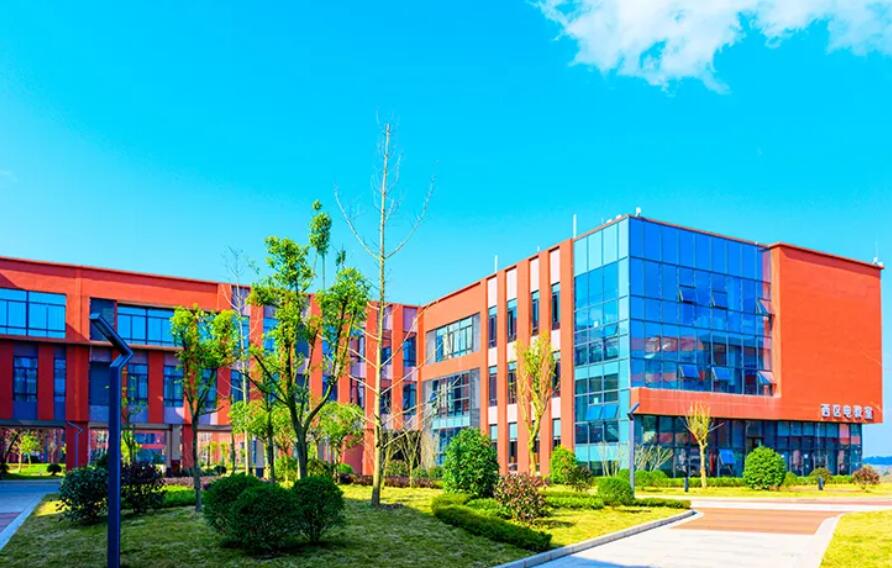 �Ĵ�ʡ��������WУ2022����������